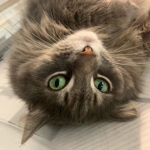 Meet your Posher, Jemma